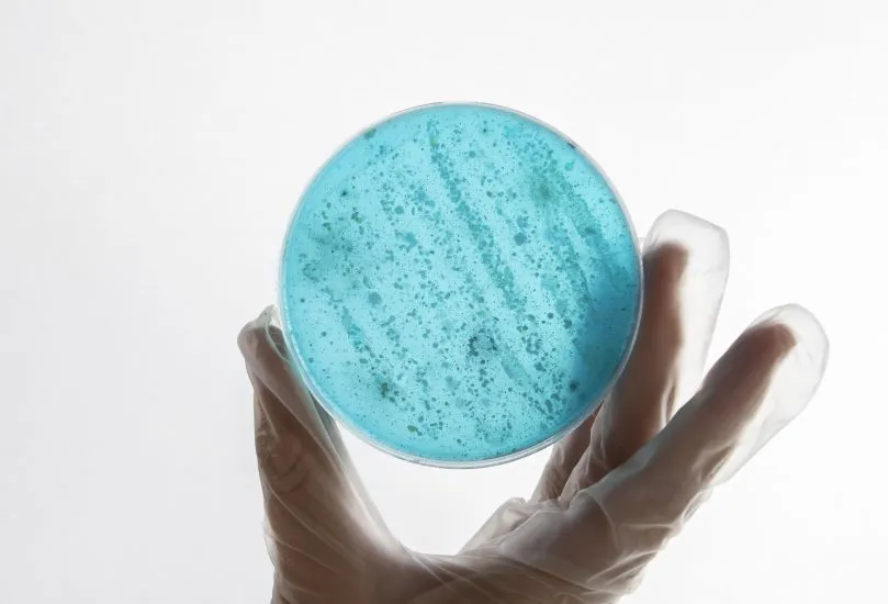 Recomendações do BrCAST-EUCAST para Controle interno de qualidade (CIM e Disco-Difusão)