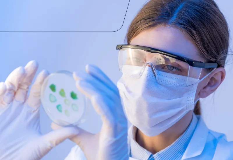 Análise do ar demonstra que poluentes influenciam concentração de bactérias e fungos na atmosfera