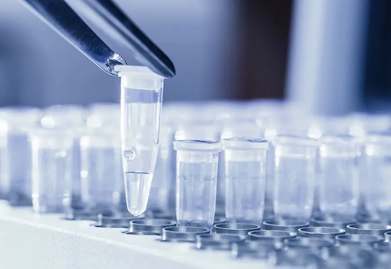 ANS INCLUI EXAMES PARA DETECÇÃO DE HANSENÍASE NO ROL DE COBERTURAS OBRIGATÓRIAS