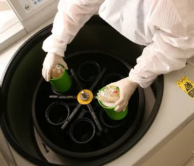 Anvisa divulga panorama de bancos de cordão umbilical no Brasil