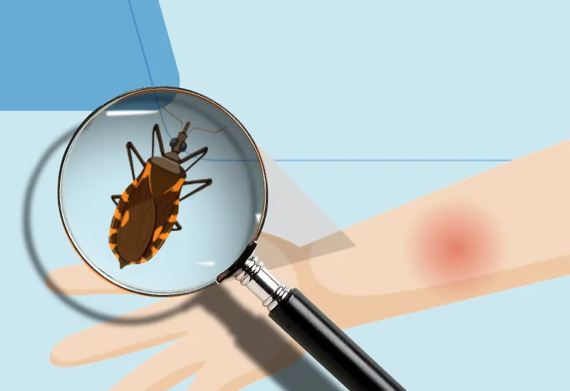 Documento informativo sobre a 4ª edição do Dia Mundial da Doença de Chagas (WCDD)