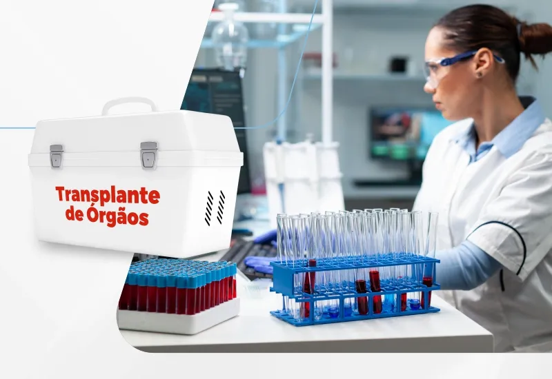 Exames laboratoriais avançados garantem qualidade para transplante de órgãos