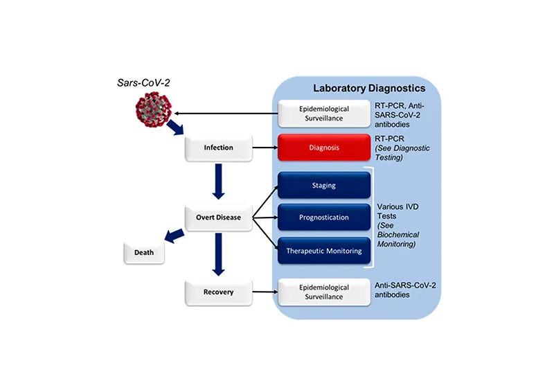 Guia de informações da IFCC sobre COVID 19