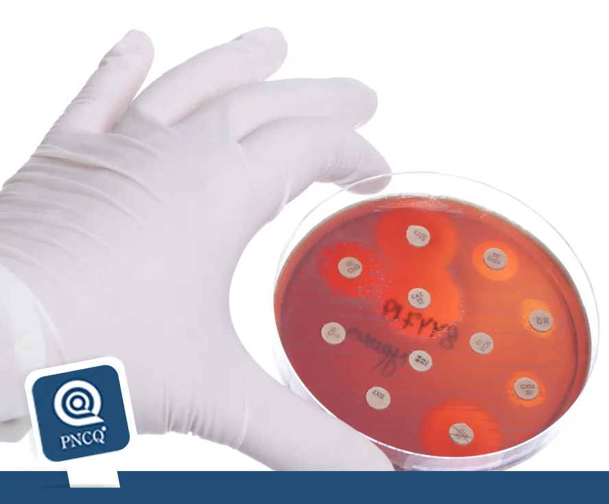 I Encontro Internacional BrCAST e EUCAST