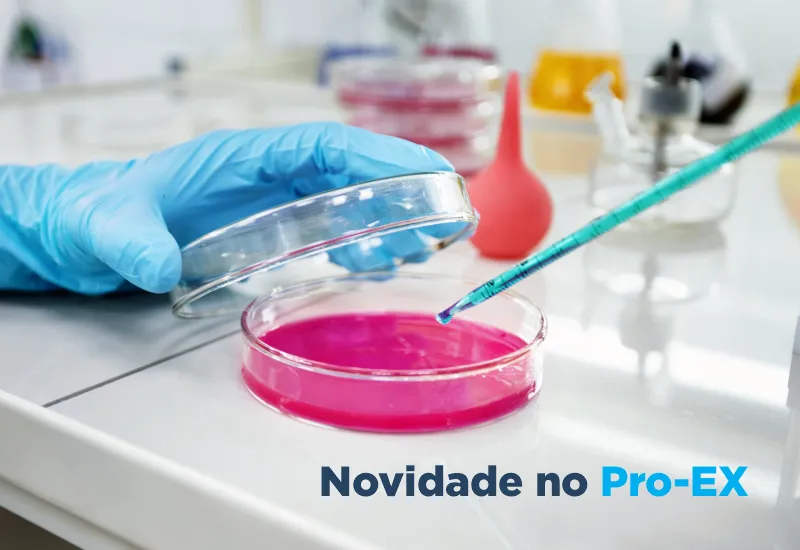 Novo Programa Avançado em Cultura de Identificação para <i>Neisseria gonorrhoeae</i>