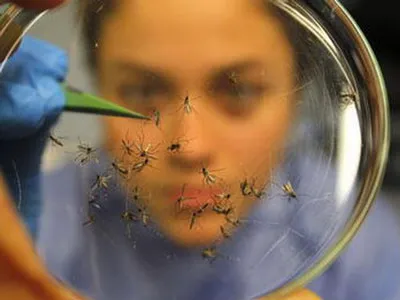 Novo método com biomarcadores proteicos poderá prever quem terá a forma letal da dengue