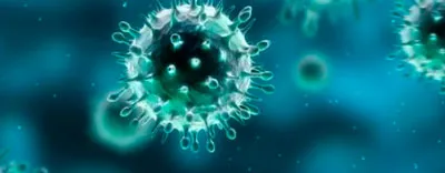 Presença do HIV pode inibir sintomas do vírus H1N1