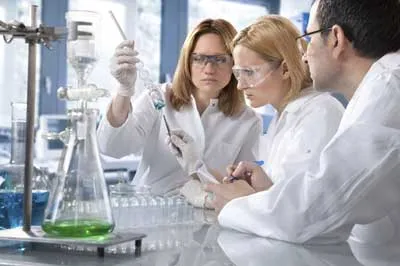 Pro-IN em Tempo Real