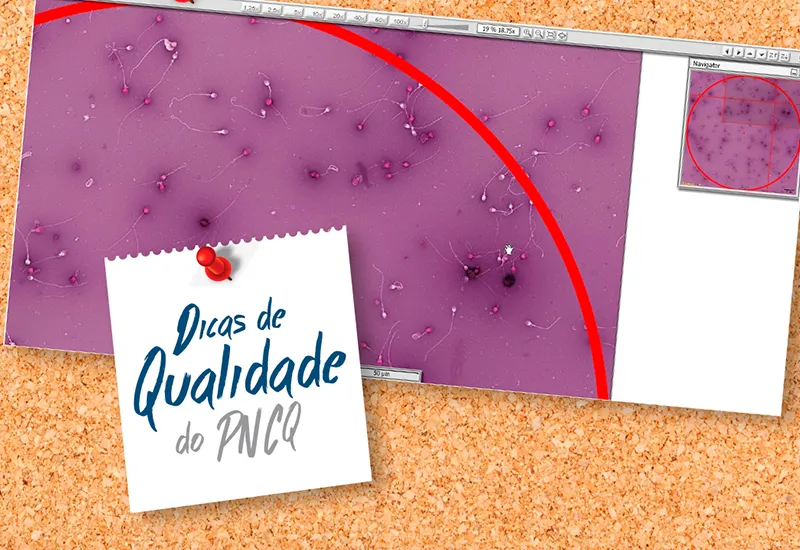 Amostras-controle virtuais do PRO-EX